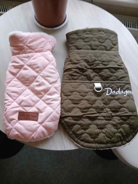 Photo of free Dog coats (linton cb21) #1