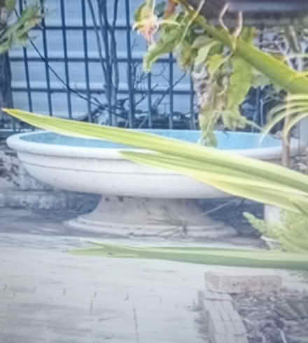 Photo of free Huge Garden Planter (Cockburn area) #1