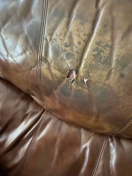 Photo of free Old leather lounge chair works (Mandela Pkwy and 28th) #3