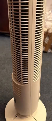 Photo of free Challenger tall oscillating fan. (Seal TN15) #4