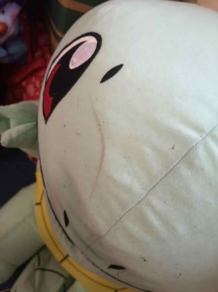 Photo of free Pokemon plush (Bedford) #3