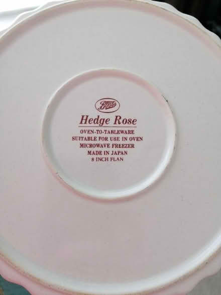 Photo of free Flan dish (Langney BN23) #2