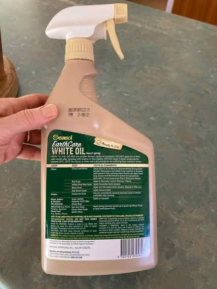 Photo of free White oil, seasol brand for scale (Mount Waverley) #2