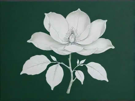 Photo of free magnolia trago matt emulsion (Union Park TR11) #1