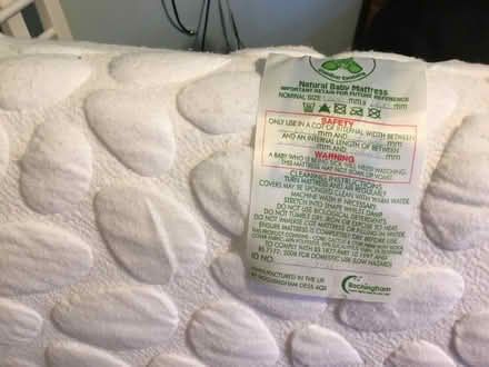 Photo of free Standard size cot (Southborough TN4) #3