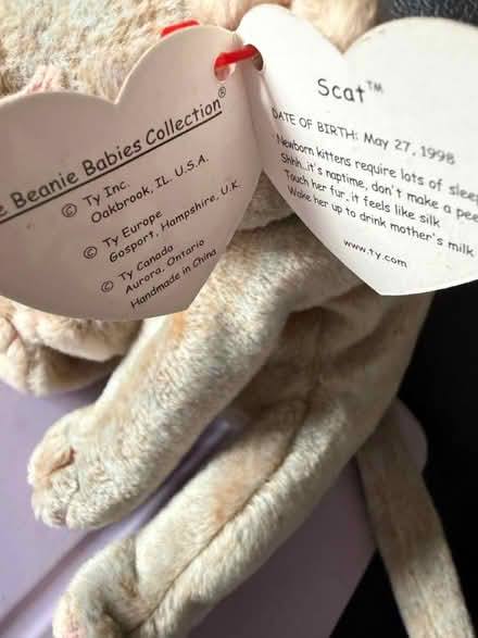 Photo of free TY Scat The Cat (Westbury Wilts BA13) #2