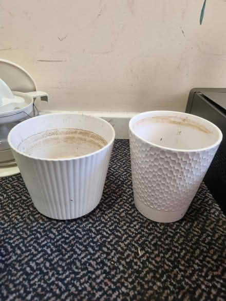 Photo of free 2x plant pots (SE20) #1