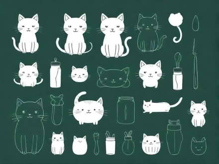 Photo of Cat/Kitten Items (Birch Green WR8) #1