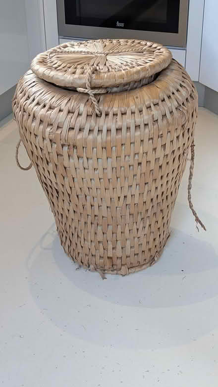 Photo of free Aladdin laundry basket (Esher, KT10) #1