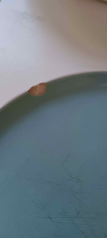 Photo of free crockery (Bussage GL6) #2