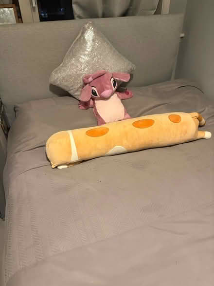 Photo of free Small double divan (Coventry CV3) #2