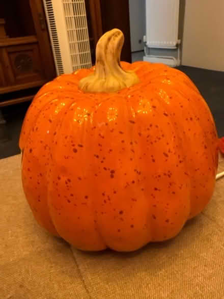 Photo of free Cute Halloween decor from Homesense (Seal TN15) #3