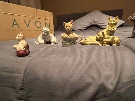 Photo of free Cute Cat Ornaments (Derby DE23) #2