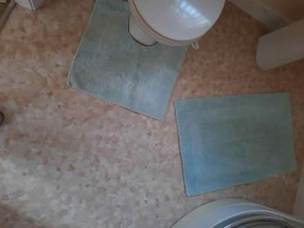 Photo of free Blue bathroom set (Solihull B91) #1