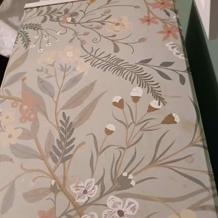 Photo of free Pale green floral sticky backed plastic (Bradford on Avon BA15) #1