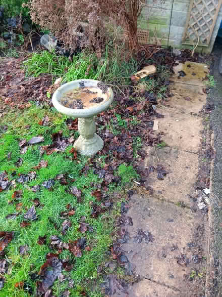 Photo of free bird bath (Knaresborough HG5) #1