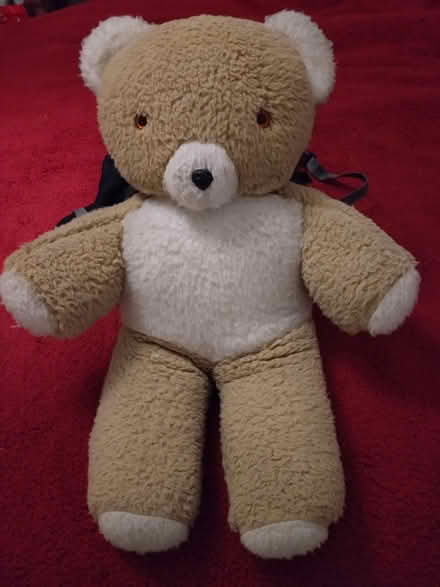 Photo of free Large Teddy (ME16 near E Farleigh station) #1