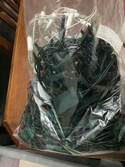 Photo of free Christmas lights (Rackheath NR13) #1