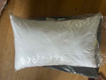 Photo of free Support pillow (Shoreham by sea) #1