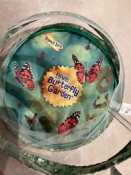 Photo of free Butterfly/caterpillar habitat (Twickenham TW1) #1