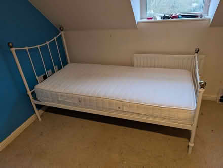 Photo of free Single Bed (Kempshott RG22) #1