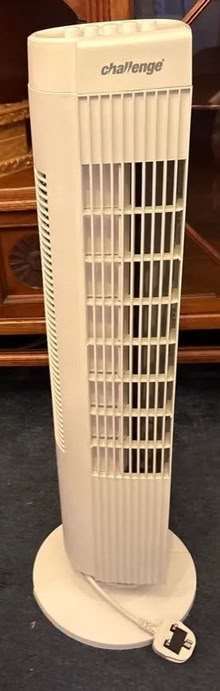 Photo of free Challenger tall oscillating fan. (Seal TN15) #1