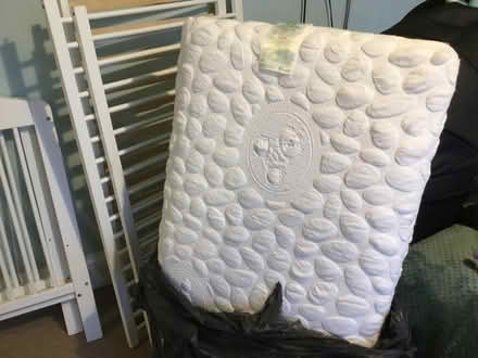 Photo of free Standard size cot (Southborough TN4) #2