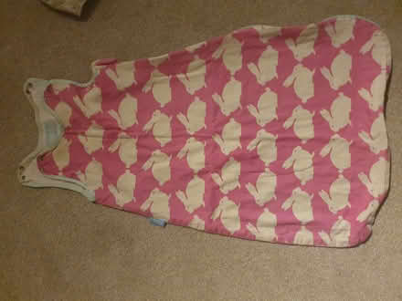 Photo of free Baby sleeping bags (Odd Down) #2