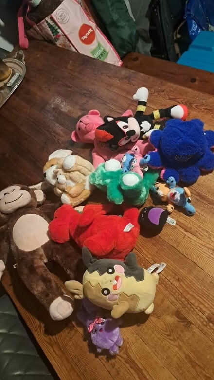 Photo of free Teddies (Markfield LE6) #1