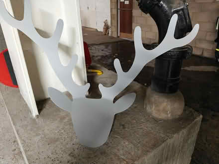 Photo of free Antler coat stand (SE3) #2