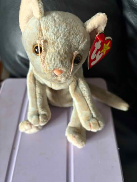 Photo of free TY Scat The Cat (Westbury Wilts BA13) #1