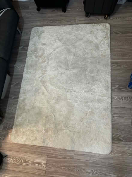 Photo of free Rug (Fairview) #1