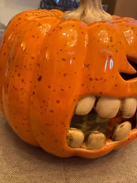 Photo of free Cute Halloween decor from Homesense (Seal TN15) #2