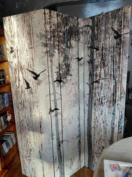Photo of free 2x3 panel screens/room dividers (Rowner PO13) #2
