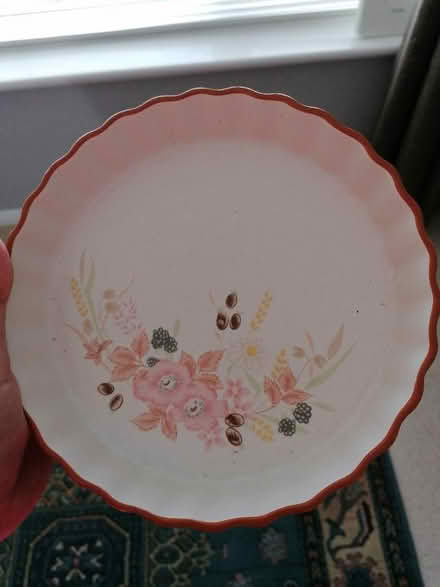 Photo of free Flan dish (Langney BN23) #1