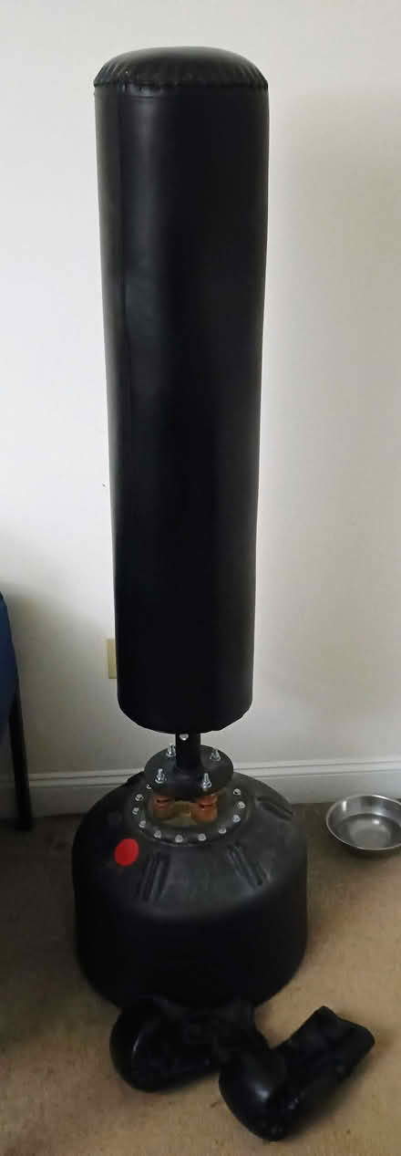 Photo of free Punching Bag w/ Boxing Gloves (Toms River) #1