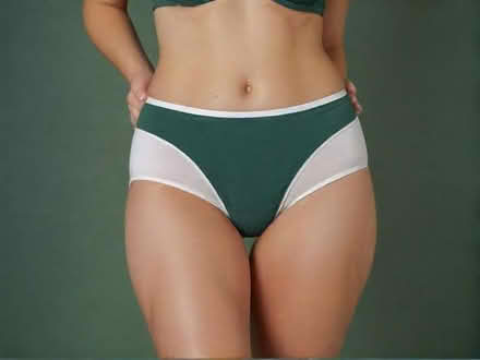 Photo of free Sloggi Basic+ Maxi ladies cotton briefs (Chesham Bois HP6) #1