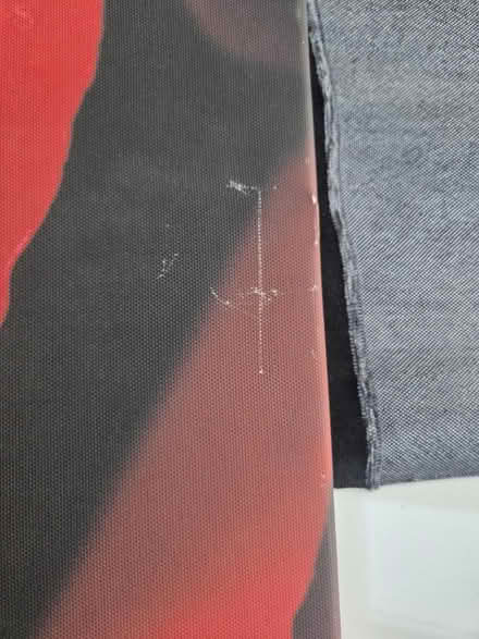 Photo of free Large rose wall canvas (Frimley) #2