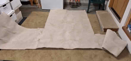 Photo of free carpet scrap (in Sammamish near Beaver Lake) #1