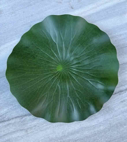 Photo of free 35 vinyl lilly pads (Mill Valley) #1