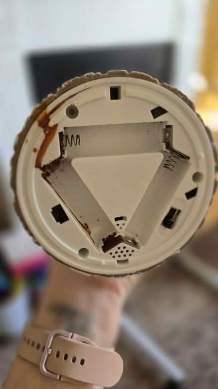 Photo of free Christmas ornament (Bellingham SE6) #3