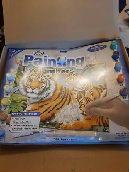 Photo of free Paint by numbers (Solihull B91) #3