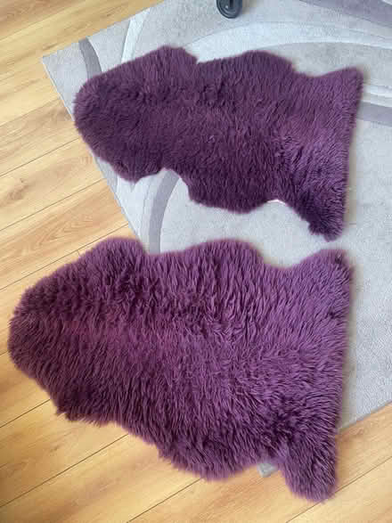 Photo of free Bedroom Sheepskin Rugs (Little Marton FY4) #1