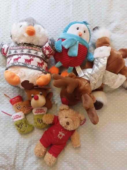 Photo of free Christmas soft toys (Sprowston NR7) #1