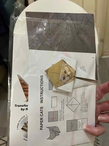 Photo of free Paper Cats origami (Crown Heights) #2