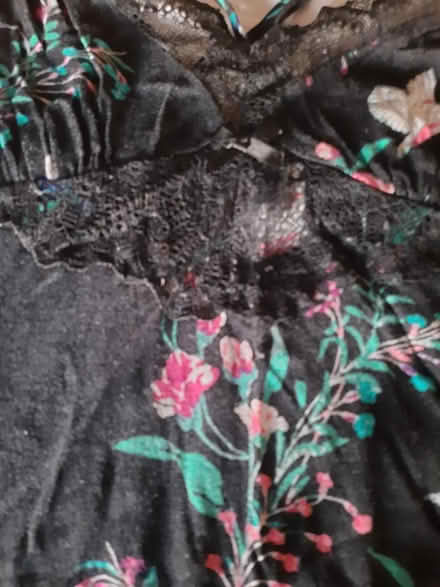 Photo of free Nightys (Solihull B91) #3