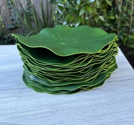 Photo of free 35 vinyl lilly pads (Mill Valley) #2