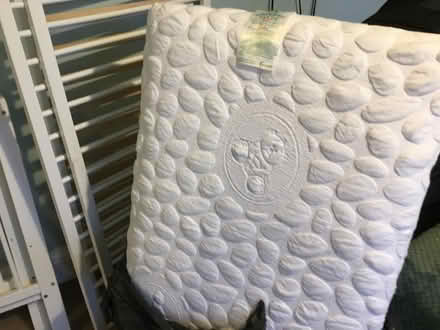 Photo of free Standard size cot (Southborough TN4) #4