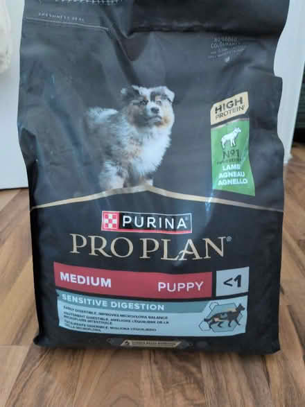 Photo of free Puppy food (Crouch End N8) #1