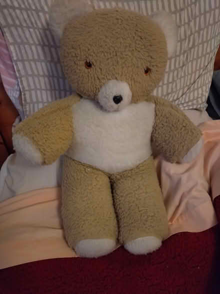 Photo of free Large Teddy (ME16 near E Farleigh station) #3